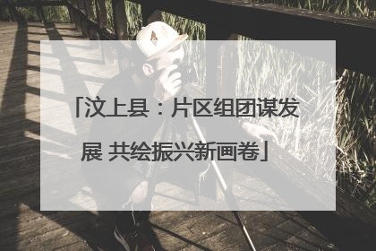 汶上县：片区组团谋发展 共绘振兴新画卷